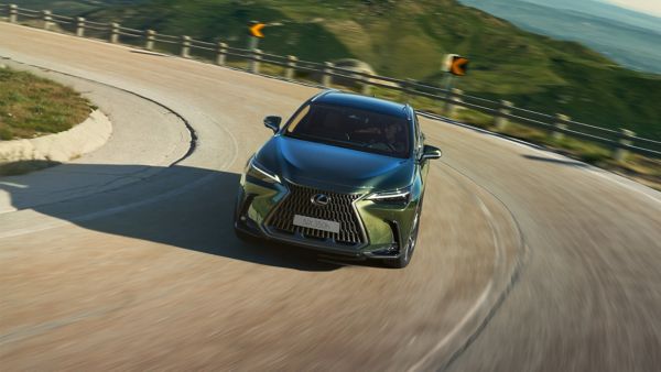 Ein Lexus NX fährt auf einer Bergstraße