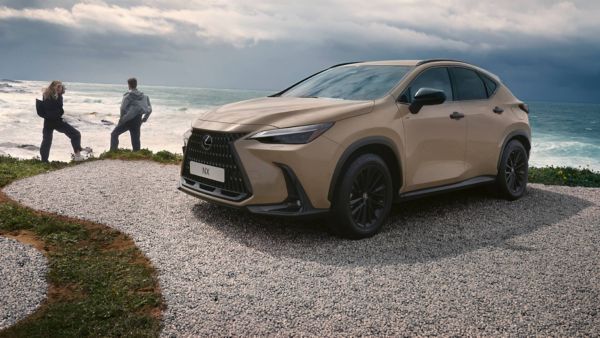 Two people stood next to a parked Lexus NX