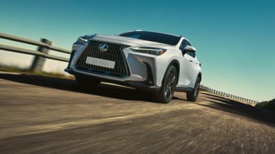 Lexus LX driving on a road 