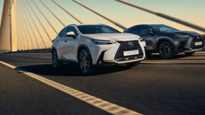 Lexus LX standstill blind spot monitor and wing mirror 