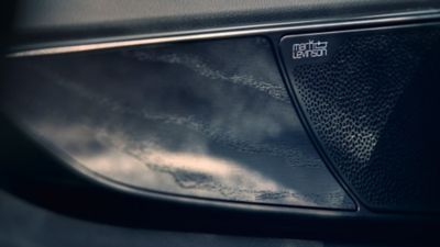 Lexus LX standstill blind spot monitor and wing mirror 