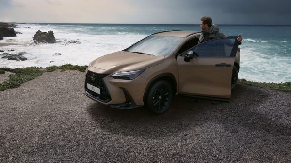 A Lexus NX driving through a woodland