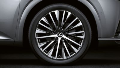 Lexus LX standstill blind spot monitor and wing mirror 