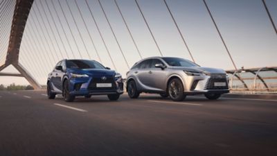 The interior cabin of a Lexus RX