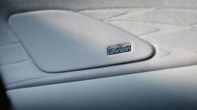 Lexus LX standstill blind spot monitor and wing mirror 