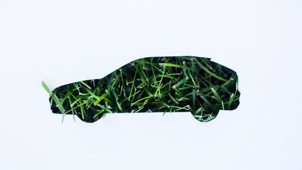 Eine Auto-Silhouette auf weißer Fläche mit Nahaufnahme von grünem Gras als Füllung.