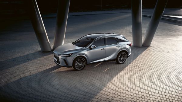 A Lexus RX parked next to pillars