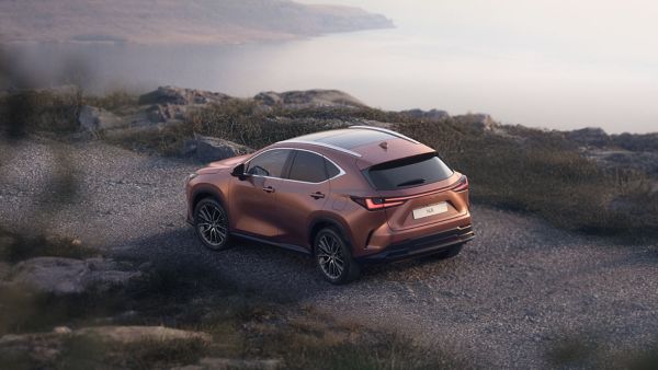 Dağ yolunda bir Lexus NX'in arka açısı