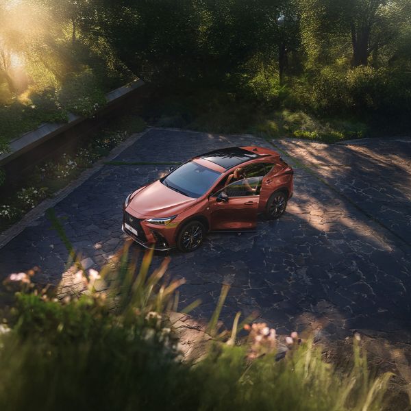 ALLIEZ PLAISIR DE ET ÉCONOMIES