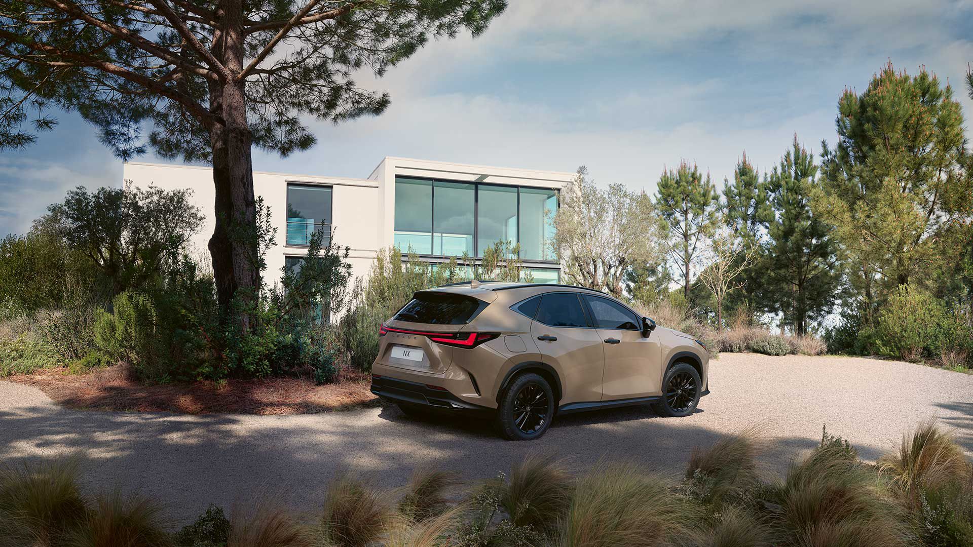 A Lexus NX parked outside a property