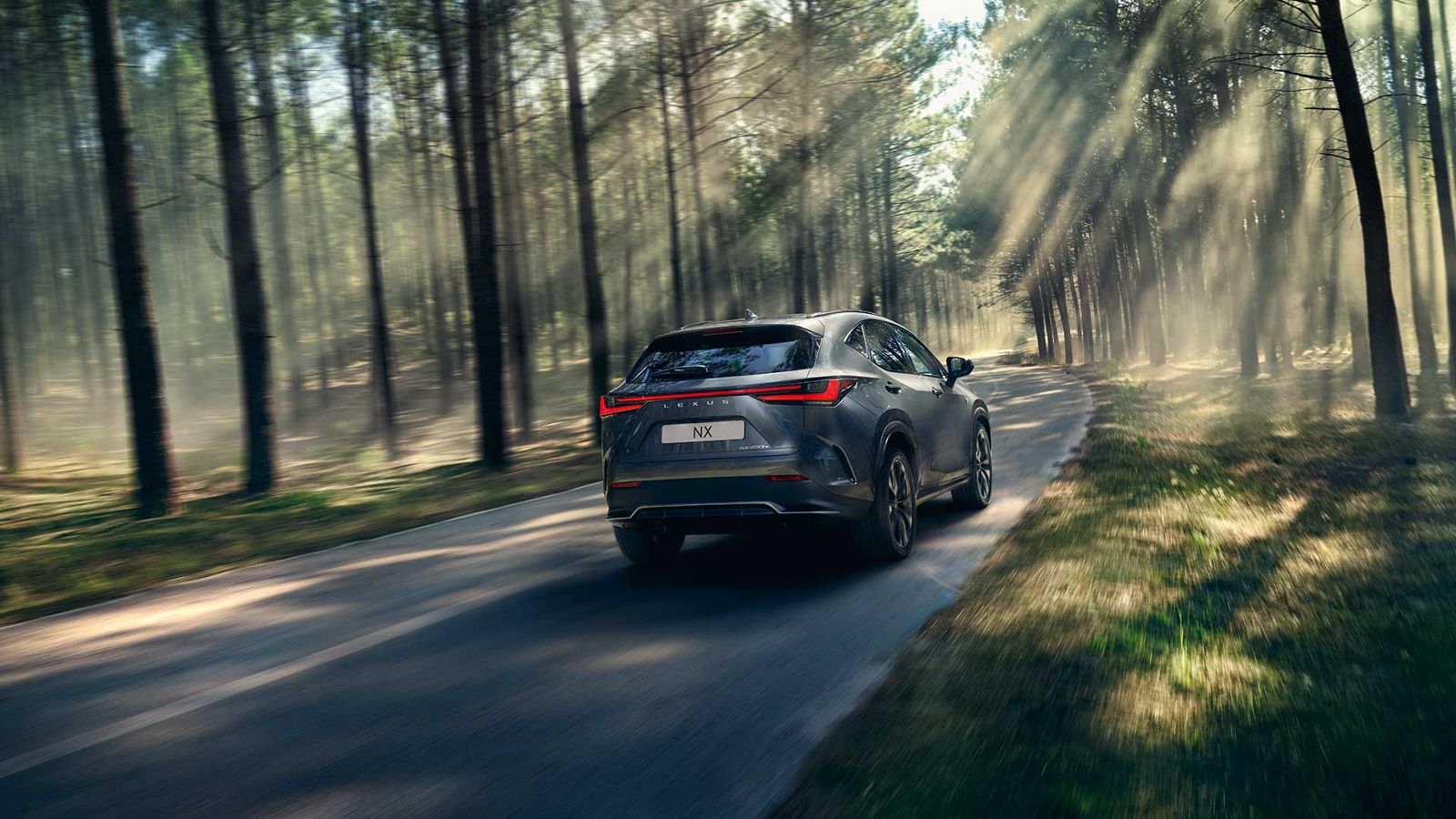 Rear view of a Lexus NX driving through a woodland