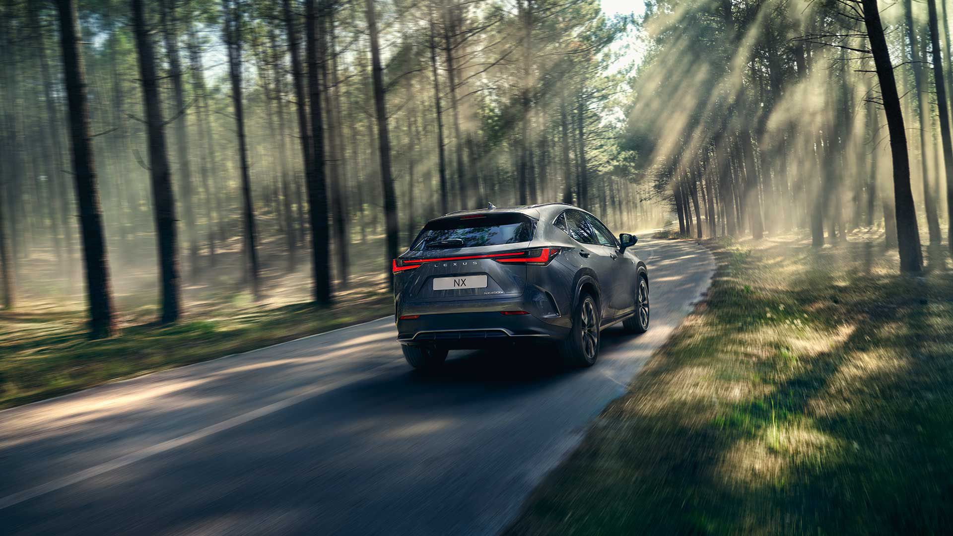 Rear view of a Lexus NX driving through a woodland