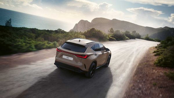 Sahil yolunda ilerleyen bir Lexus NX'in arkadan görünümü