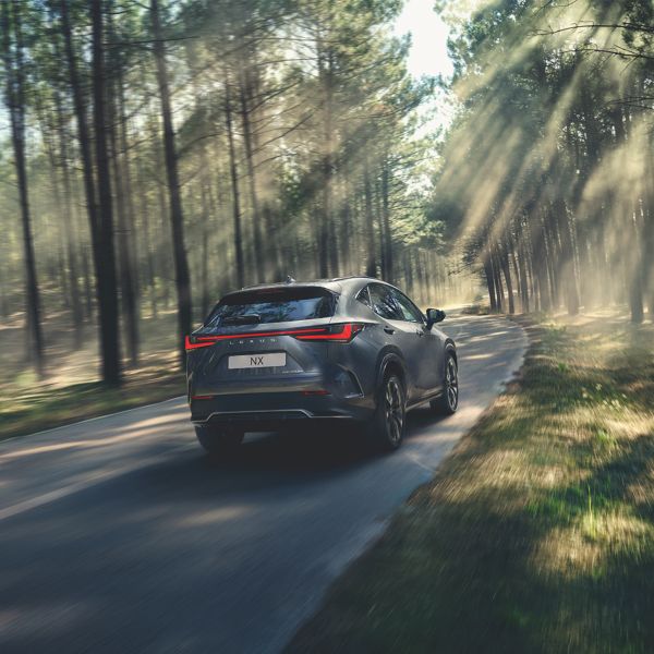 A person charging a plug-in hybrid Lexus