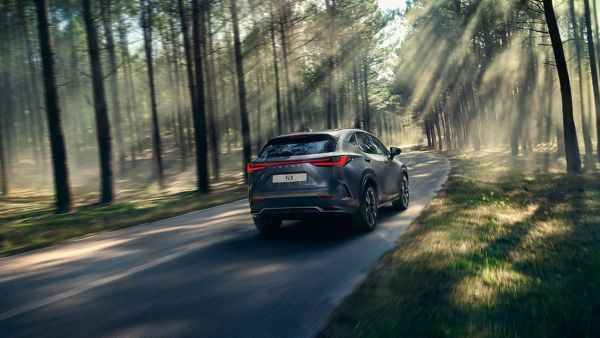 Rear view of a Lexus NX driving through a woodland
