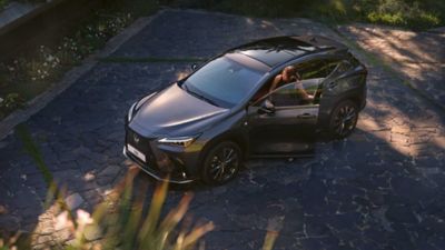 A raised view of a driver entering a parked Lexus NX