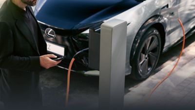 EV Ownership