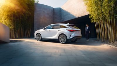 Lexus RX Hybrid si RX Plug-In Hybrid. SUV premium