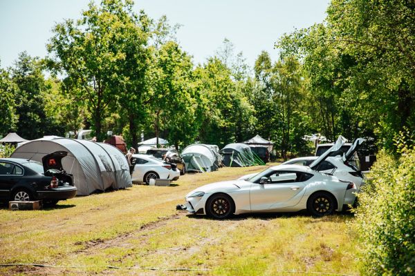 Mehrere Wagen mit offenen Heckklappen und Zelten auf einer Rasenfläche, welches von Bäumen umgeben ist