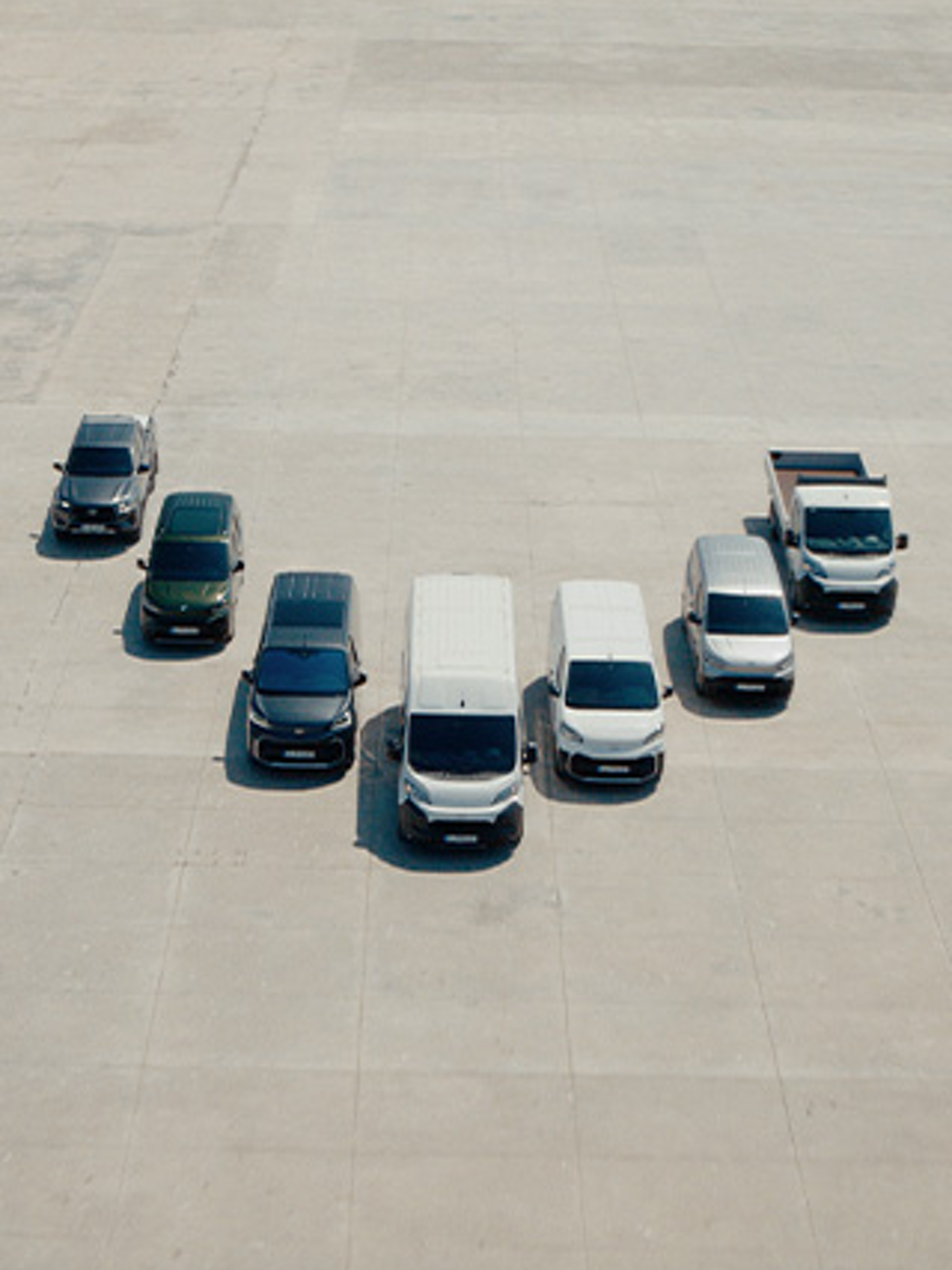 Ağaçlandırma Seferberliği