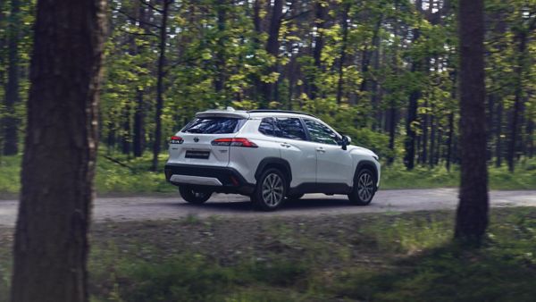 רכב SUV קרוסאובר נוסע ביער