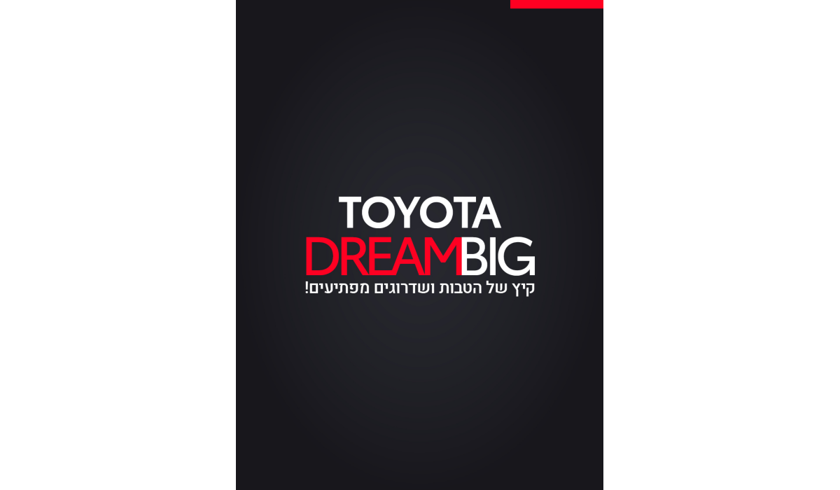 הטבות ומבצעים טויוטה דרים ביג