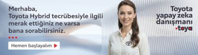 Toyota kampanya banner