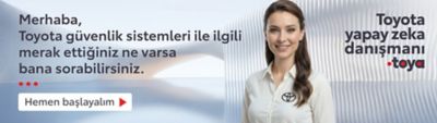 Toyota kampanya banner