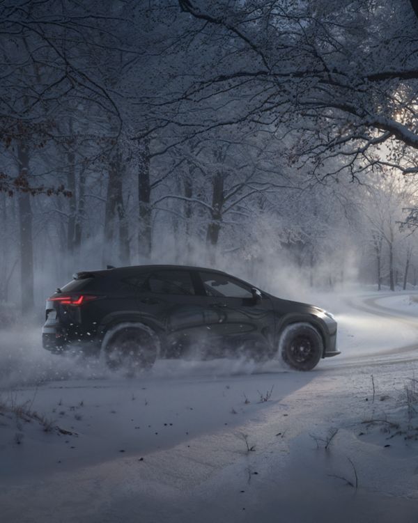 Lexus, exterieur, banden, ux