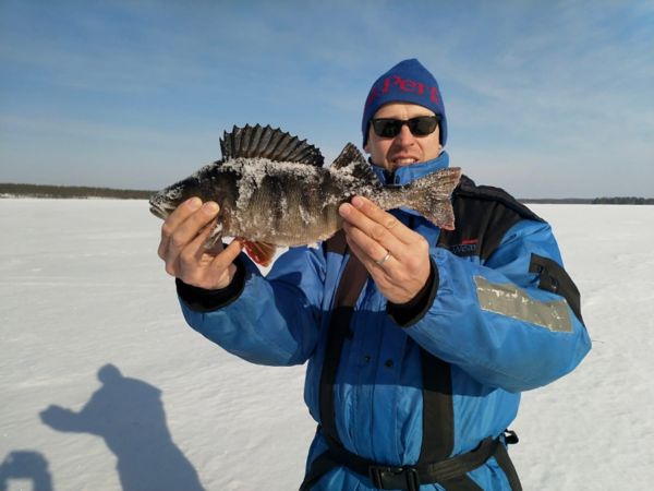 Pasi Martikainen sekä ahven 39 senttiä ja 830 grammaa Kiantajärvellä