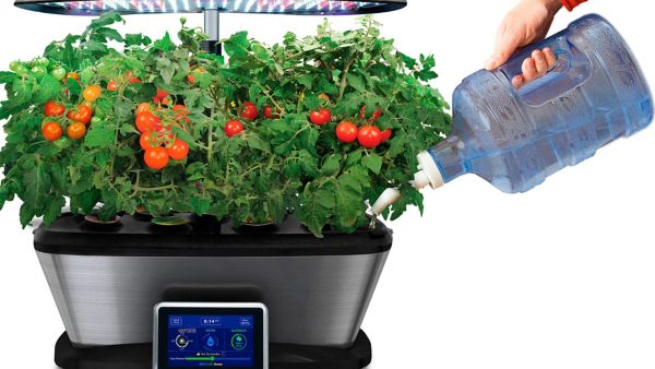 Aerogarden, huerto sin tierra dentro de casa