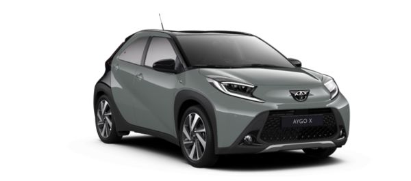 Зелен естрагон Aygo X