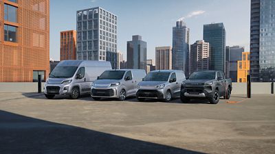 Gama Toyota Professional