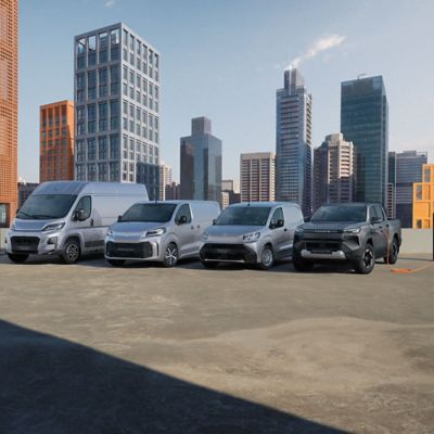 Gama Toyota Professional