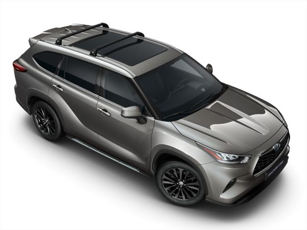 Barras transversales techo