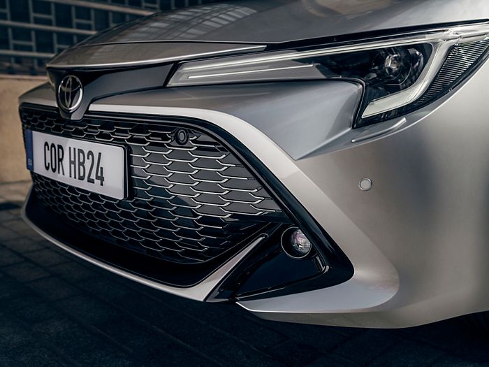 Naujos priekinės grotelės