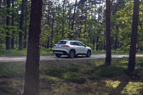 Full Hybrid Insurance