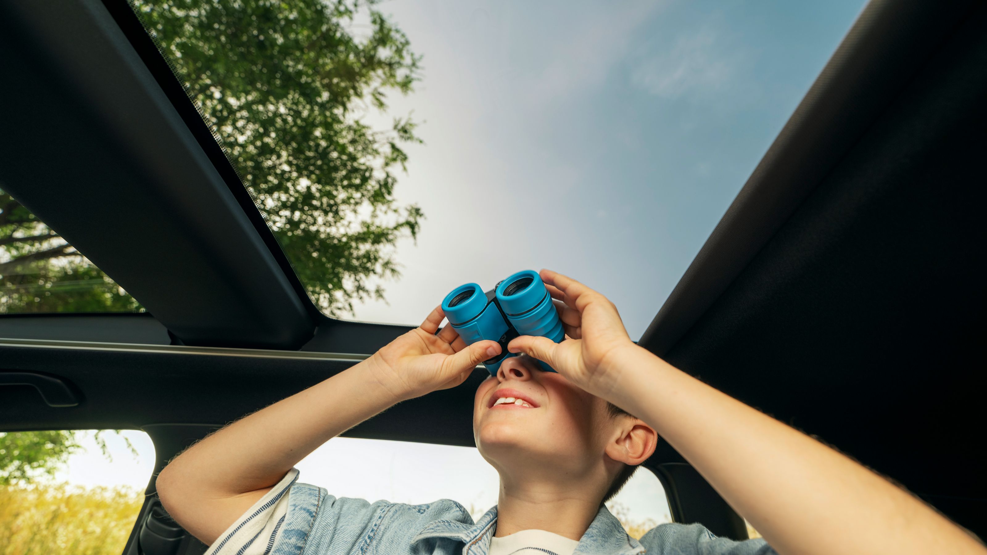 Toyota Skyview -panoraamakattoluukku