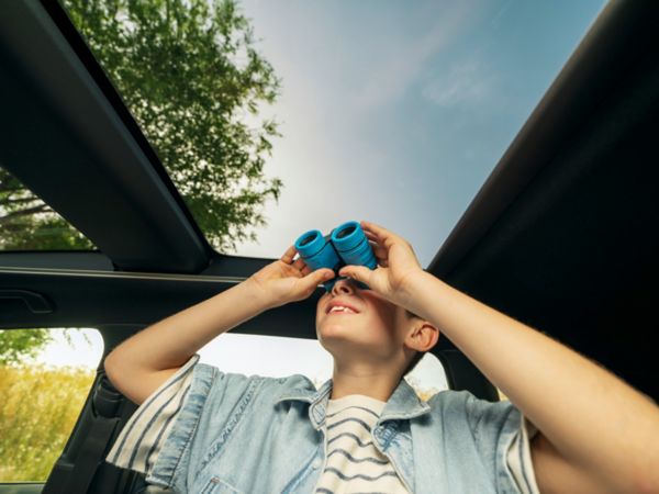 Toyota Skyview -panoraamakattoluukku