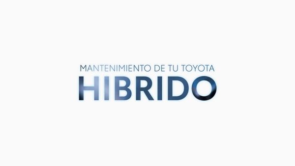 Mantenimiento híbridos