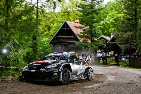 Car 17 (Sébastien Ogier, Vincent Landais)