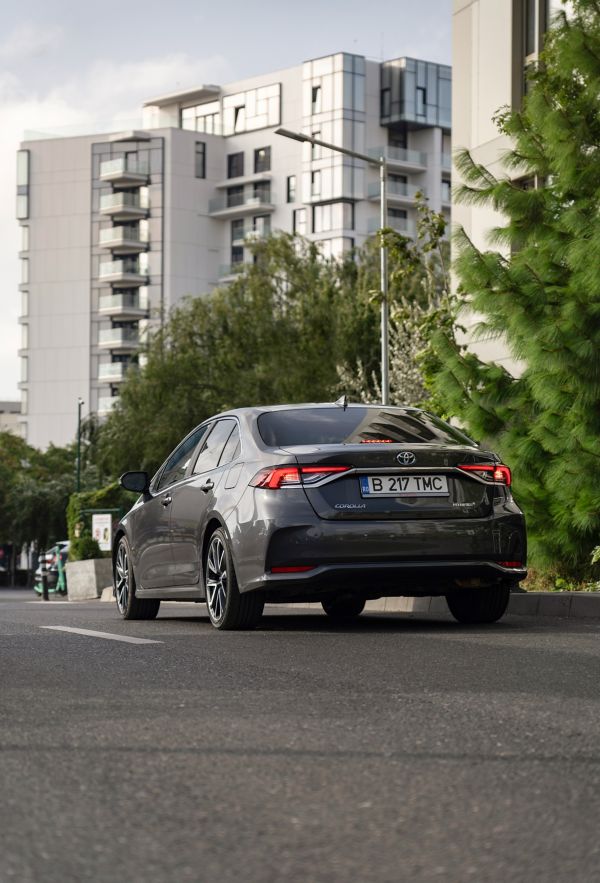 Toyota Corolla Sedan