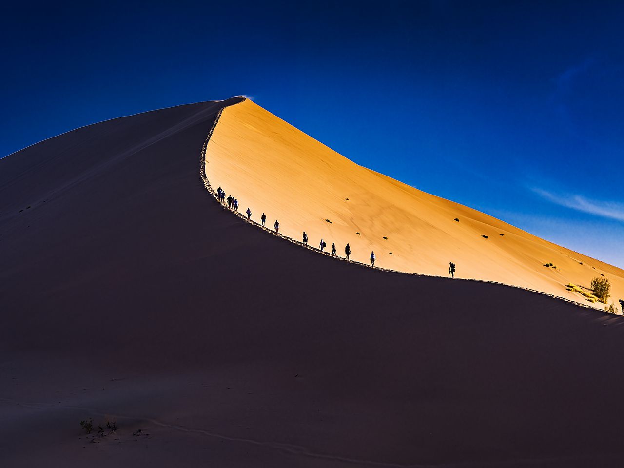 Toyota и National Geographic | Toyota Казахстан