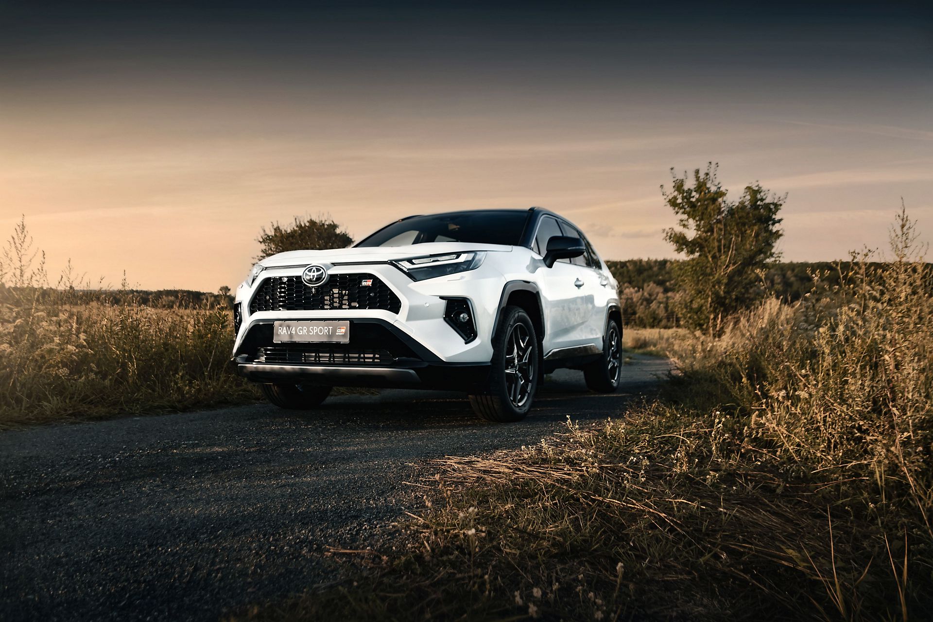 RAV4 Exterior image3