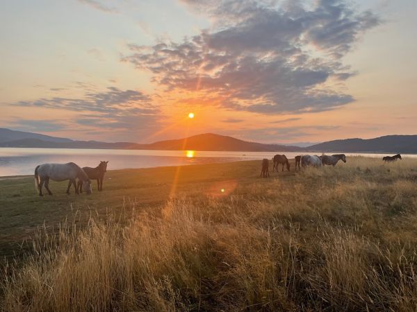 Duurzaam reizen, met Bart, en Annelouc, uitzicht, met paarden