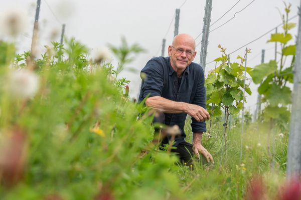 Erik, biodynamische, wijngaard