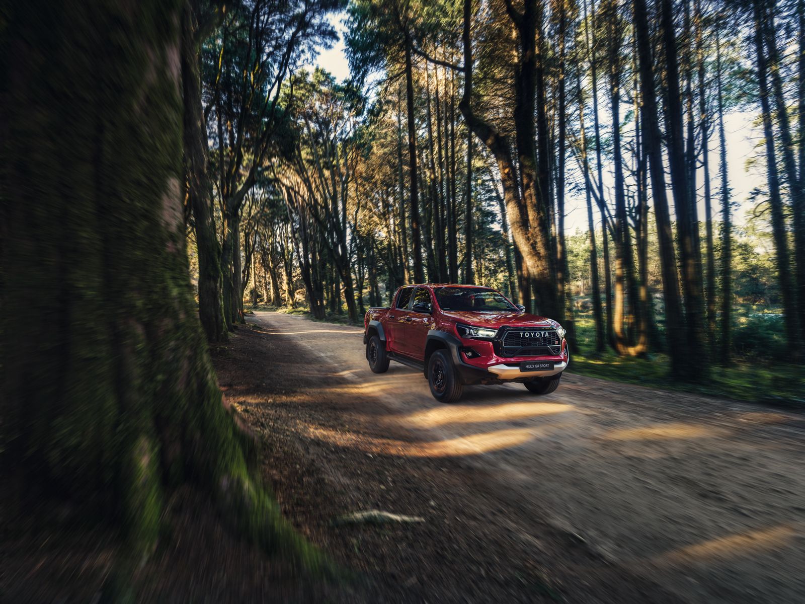 Hilux cruises a sunlit forest track