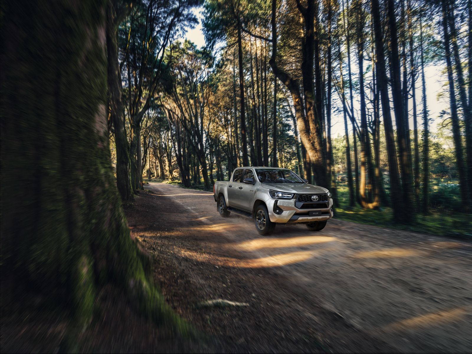 Hilux recorre una pista forestal iluminada por el sol
