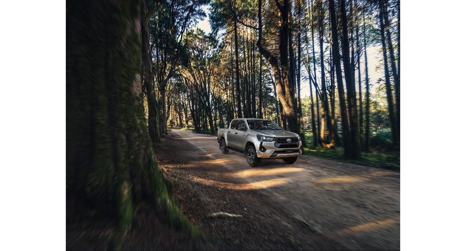 A Hilux percorre um trilho florestal iluminado pelo sol