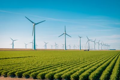 Windmolens in een veld